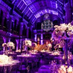 Natural History Museum - weddings, award ceremonies and events in London